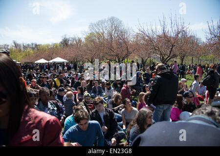 New York 25. April 2015 - das gute Wetter brachte das Publikum für das Kirschblütenfest an der Brooklyn Botanic Gardens in New York City. Die Blume zeigt enthalten Tulpen und Magnolien unter den Kirschbäumen. Cosplay Zeichen mischte sich unter die Menge. Stockfoto