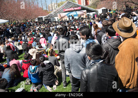 New York 25. April 2015 - das gute Wetter brachte das Publikum für das Kirschblütenfest an der Brooklyn Botanic Gardens in New York City. Die Blume zeigt enthalten Tulpen und Magnolien unter den Kirschbäumen. Cosplay Zeichen mischte sich unter die Menge. Stockfoto