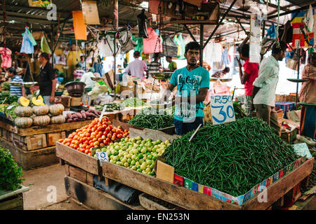 Obst- und Gemüsehändler in Kandy Markthalle in Kandy, Sri Lanka. Stockfoto