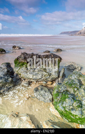 Algen übersät Felsen am Strand von porthtowan Stockfoto