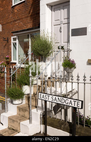 Großbritannien, England, Yorkshire, Scarborough, East Sandgate, Lavendel bepflanzte Töpfe auf Haus Schritte Stockfoto