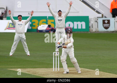 LONDON, ENGLAND - 26.April: Nick Browne und Jesse Ryder von Essex Appell für das Wicket Zafar Ansari von Surrey während Tag eines der Division zwei LV County Championship Match zwischen Surrey und Essex auf dem Kia Oval Cricket Ground, am 26. April 2015 in London, England. (Foto von Mitchell Gunn/ESPA) Stockfoto