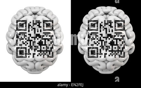 3D Rendern des Gehirns mit QR-Code des lateinischen Satz Cogito ergo sum Stockfoto