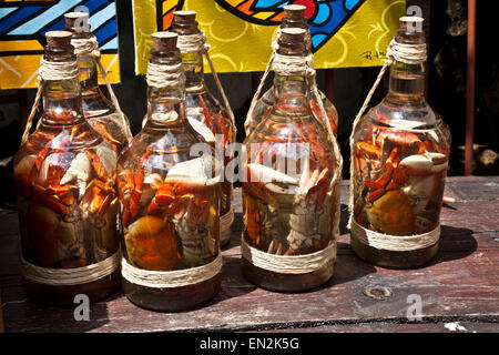 Olinda, Recife, Pernambuco, Brasilien, eingelegte Krabben in einer Flasche auf einem Straßenmarkt Stockfoto