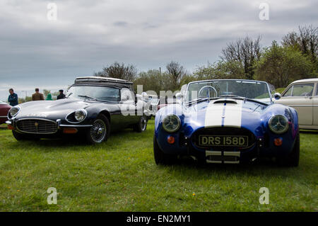 Shelby Cobra Sportwagen auf der 5. Sonntag Brunch Gerangel in Bicester Erbe, Oxfordshire, England Stockfoto