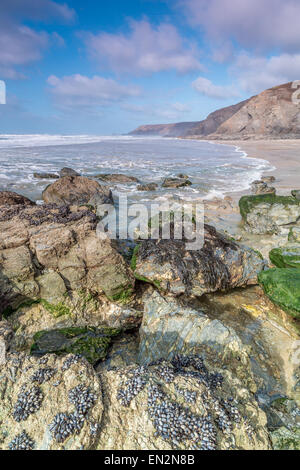 Atemberaubende Porthtowan Strand in Cornwall England UK Stockfoto