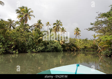 Indian River, Dominica Stockfoto