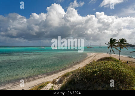 Tobago Cays Marine Park, Grenadinen Stockfoto