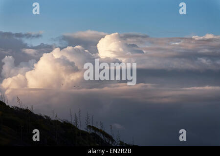 Dramatische karibische Wolken über die Tobago Cays Marine Park, Grenadinen Stockfoto