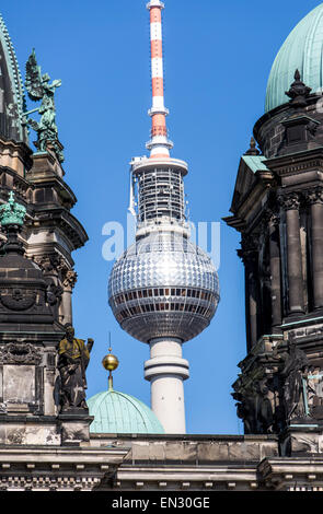 Berliner Dom, Kathedrale, Ost-Berliner Fernsehturm, Deutschland, Stockfoto