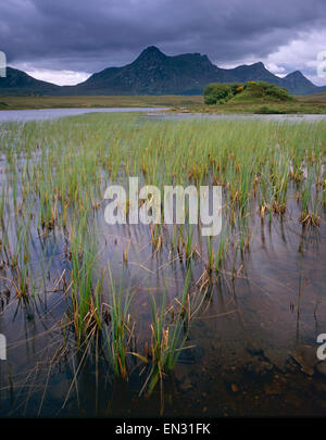 Von Lochan Hakel, Zunge, Sutherland, Schottland Großbritannien betrachtet Ben Loyal. Stockfoto