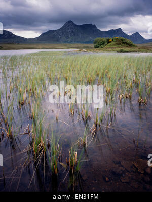 Von Lochan Hakel, Zunge, Sutherland, Schottland Großbritannien betrachtet Ben Loyal. Stockfoto