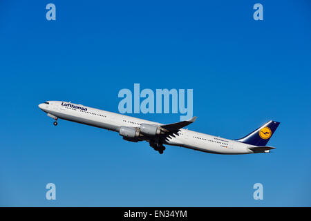 Lufthansa Airbus A 340-600 abheben, München Flughafen Franz Josef Strauß, Erding, Upper Bavaria, Bavaria, Germany Stockfoto