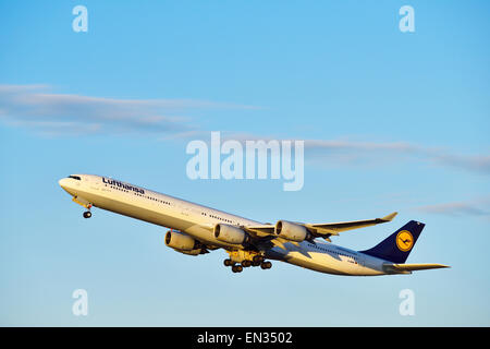 Lufthansa Airbus A 340-600 abheben, München Flughafen Franz Josef Strauß, Erding, Upper Bavaria, Bavaria, Germany Stockfoto