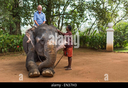 Ein Elefant und Mahout oder Elefant reiten Touristenführer, Peermade, Kerala, Indien Stockfoto