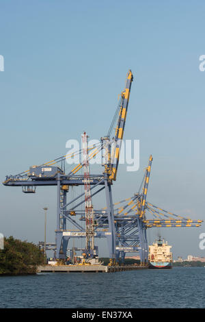 Containerschiff Maersk Line, Kräne, International Container Umschlag Terminal angewandte, Vallapadam Terminal, Kochi, Kerala Stockfoto