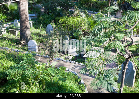 Grabsteine in Trafalgar Friedhof, Gibraltar, britische Terroritory in Südeuropa Stockfoto