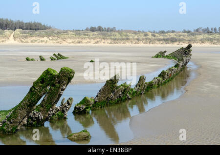 Schiffbruch auf Cefn Sidan Strand Pembrey stammt aus dem 18. oder 19. Jahrhundert Carmarthenshire Wales Cymru UK GB Stockfoto