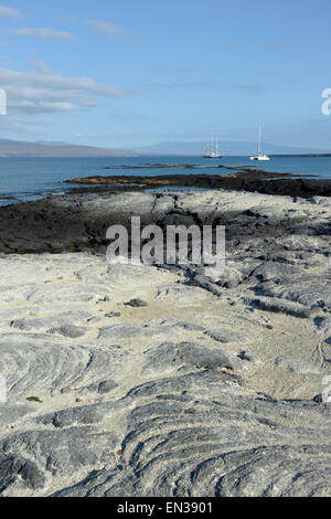 Segelboote verankert abseits der Felsen am Punta Espinosa, Fernandina Insel, Galapagos-Inseln, Ecuador Stockfoto