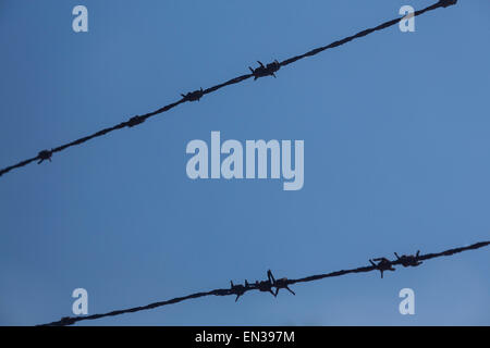 Stacheldraht gegen blauen Himmel, Deutschland Stockfoto