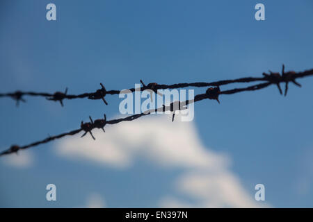 Stacheldraht gegen blauen Himmel, Deutschland Stockfoto