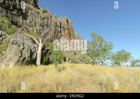 Savannah, Windjana Gorge, Kimberley, Westaustralien, WA, Australien Stockfoto