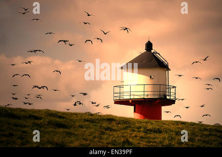 Leuchtturm mit fliegenden Wildgänse im Abendlicht, Glückstadt, Schleswig-Holstein, Deutschland Stockfoto