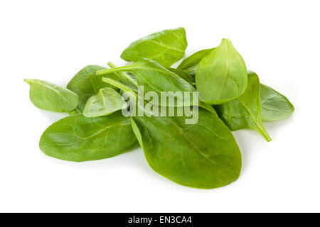 Baby-Spinat. Stockfoto