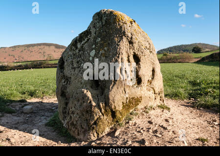 In der Nähe von neuen Radnor, Powys, Wales, UK. Der Knobley Stein (die Hoarstone, die Oarstone). Eine frühe Bronzezeit Stein Stockfoto