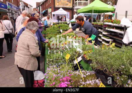 Leominster Herefordshire UK statt der wöchentliche Freitagsmarkt in Mais Square Blumenverkäuferin Stall mit Kunden im April 2015 Stockfoto