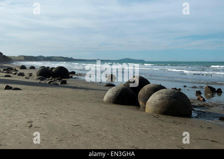 Moeraki, Neuseeland. 1. April 2015. Moeraki, New Zealand - 1. April 2015 - Moeraki Boulders am Koekohe Strand am 1. April 2015 in Moeraki, Neuseeland. © Dpa/Alamy Live-Nachrichten Stockfoto