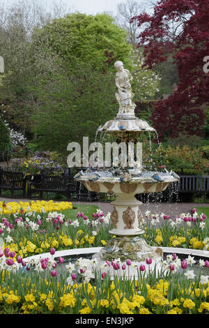 Frühlingsblumen in Dingle in Shrewsbury Stockfoto