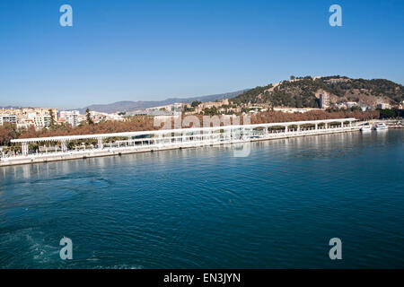 Palmeral de Las Sorpresas, Muelle 2 Cruise ship terminal Hafen von Malaga, Spanien Stockfoto