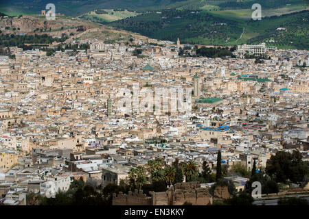 Medina von Fes, Marokko.  UNESCO-Weltkulturerbe.  Mehr als 9.000 Gassen und Straßen, und keine Autos erlaubt. Stockfoto