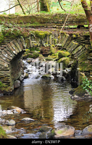 Eine kleine Steinbrücke über einen schmalen Fluss in Hafod Immobilien in Ceredigion in Mid Wales. Stockfoto