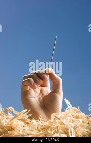 Hand mit einer Nadel im Heuhaufen Stockfoto