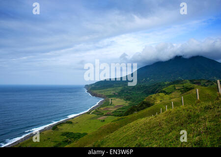 Rinder weiden am 16. Dezember 2014 offene Weiden mit Blick auf den Ozean auf der Insel Sabtang, Provinz Batanes, Philippinen, Stockfoto