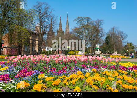 Frühling in Beacon Park, Lichfield, Staffordshire, England. Stockfoto