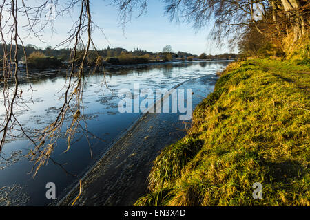 Fluß Dee, Aberdeen mit frostigen Gras- und Eis in den Fluss. Stockfoto