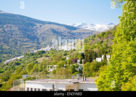 Dorf Capileira in der Fluss Rio Poqueira Schlucht Tal, hohe Alpujarras, Sierra Nevada, Provinz Granada, Spanien Stockfoto