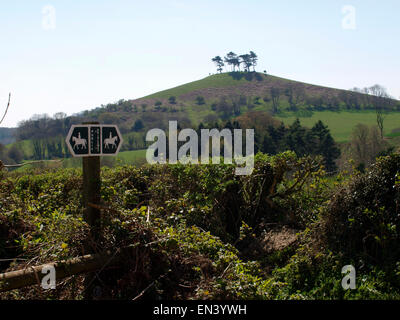 Öffentliche Maultierweg Wegweiser in Richtung Colmers Hill, Symondsbury, Dorset, UK Stockfoto