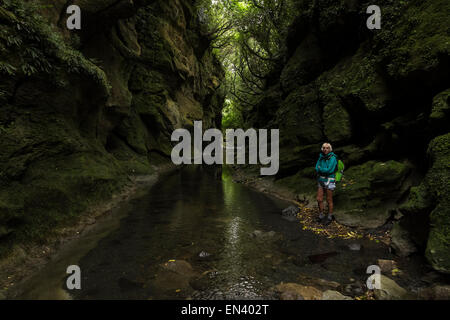 Fuß in die Patuna Schlucht, eine Kalkstein-Kluft in Wairarapa, Neuseeland. Stockfoto