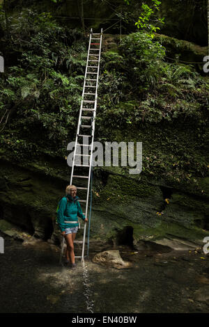 Fuß in die Patuna Schlucht, eine Kalkstein-Kluft in Wairarapa, Neuseeland. Stockfoto