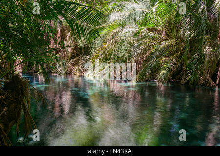 Kikuletwa heiße Quelle in der Chemka Stadt Moshi Stadt, Tansania, Afrika Stockfoto