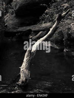 Fuß in die Patuna Schlucht, eine Kalkstein-Kluft in Wairarapa, Neuseeland. Farb-Version EN43KT Stockfoto