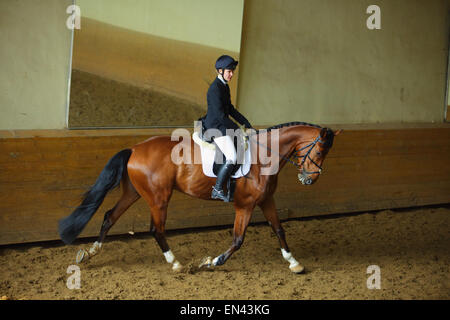 Frau in Dressur-Kostüm mit Warmblut Pferd Stockfoto