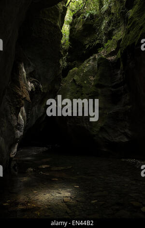 Fuß in die Patuna Schlucht, eine Kalkstein-Kluft in Wairarapa, Neuseeland. Stockfoto