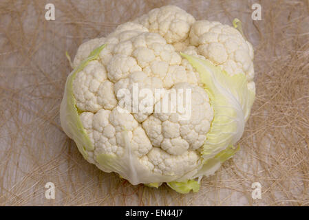 Frischer Blumenkohl Kopf Kohl Gemüse auf Tisch Stockfoto