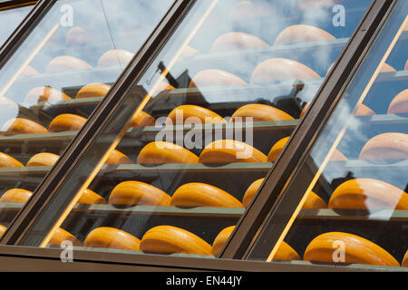 Henri Willig Cheese und vieles mehr einkaufen Leidsestraat 52 1017 Amsterdam Niederlande Stockfoto