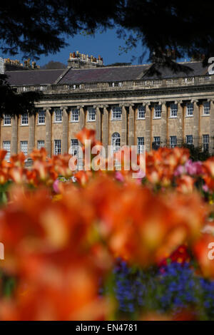 Royal Crescent, Bath, England, mit Frühlingsblumen im Vordergrund Stockfoto